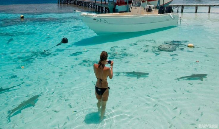 Cela coûte-t-il plus cher de réserver par une agence de voyages, vrai ou faux ?